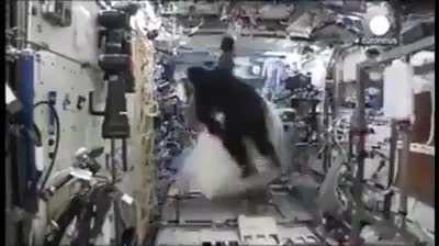 This is what happened, when astronaut Mark Kelly put on a full gorilla suit aboard the International Space Station, without telling anyone. (Credit: Todd Spence)