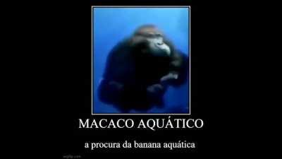 Deus Abençoe os monke pra n saturar amanhã de manhã 🙌🙌