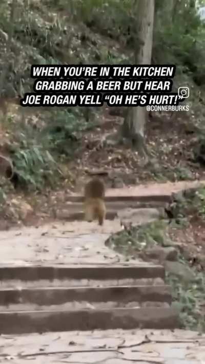 Always during the beer dash