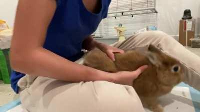 Ok my bad this is Peanut. Best girl