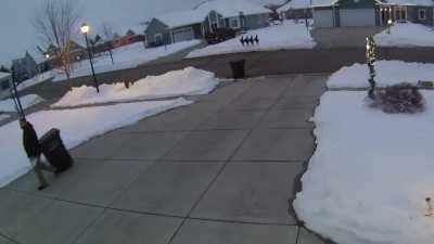 This is Corgi League!!!! (OC)