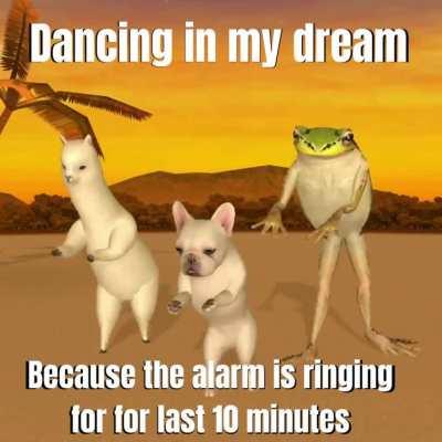 Every Morning me 😐