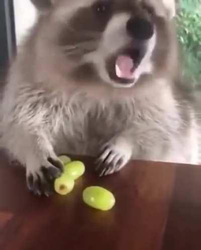 "Please don't touch them"