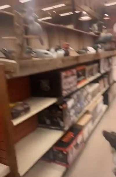 “We’re gonna be here for a while….”