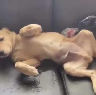 And now it's bathtime!!