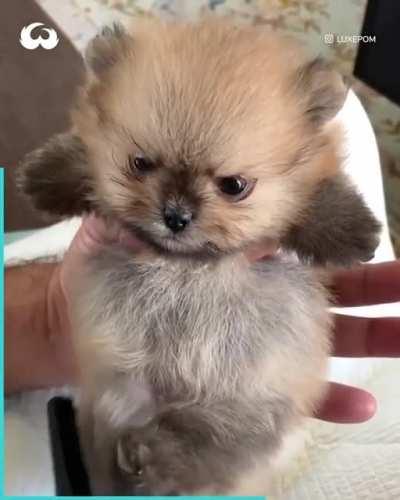 Чёт недоволен