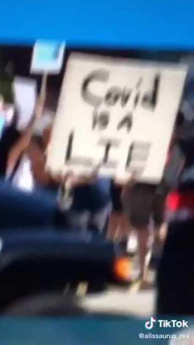 listen to Kermit the frog here