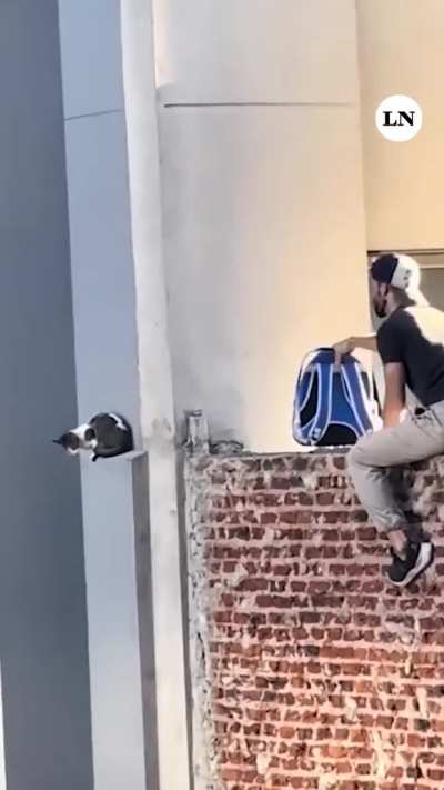 Héroe anónimo equipado con una mochila transportadora rescató a un felino atrapado en una medianera del barrio porteño de San Cristóbal