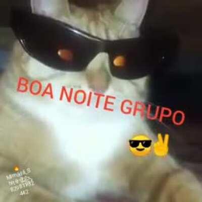 Boa noite grupo 😎👊