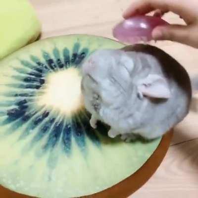 I don't think anyone loves brushies more than this guy