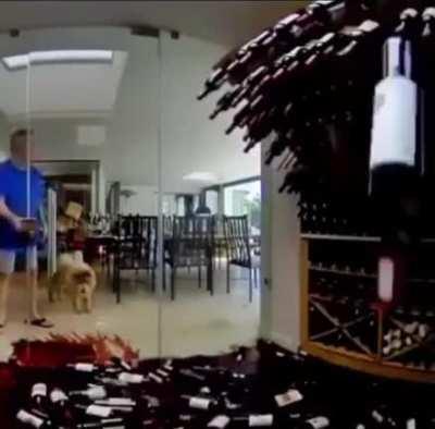 That was a nice wine collection