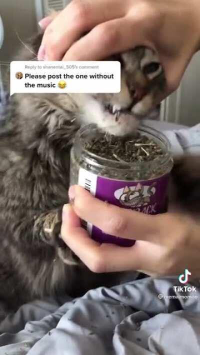 Y'all got any more of that...