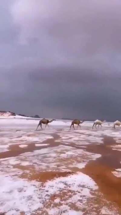 Hail (حائل) North west of the Kingdom of Saudi Arabia