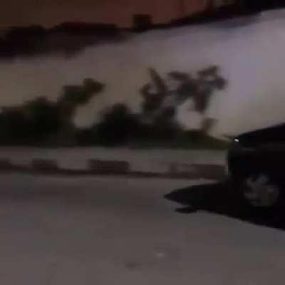 VAZOU MUCA NA AULA DE DIREÇÃO