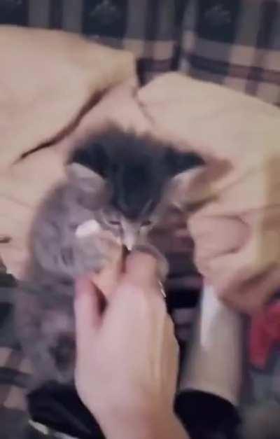 Leggo the ice cream!