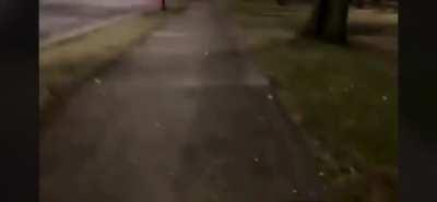 Reporter gets over the top arrested, after harassed and calls out police officer on his small dick.