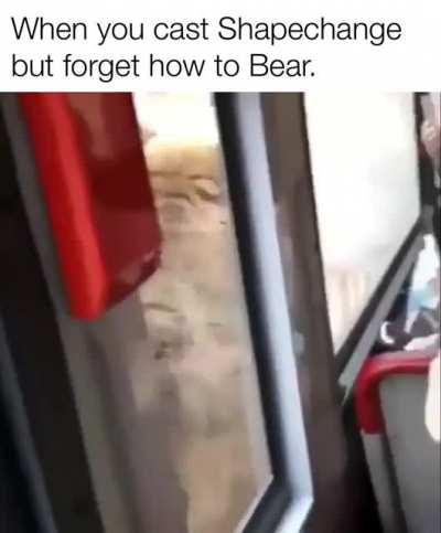Bear with me here guys.