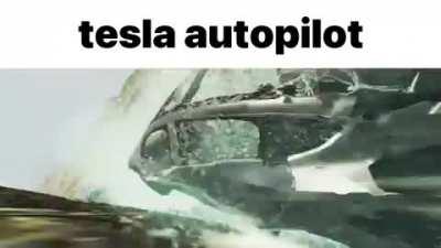 Glory to the elon muck