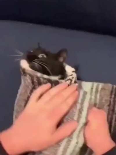 Through its sacrifice, hallownest lasts eternal