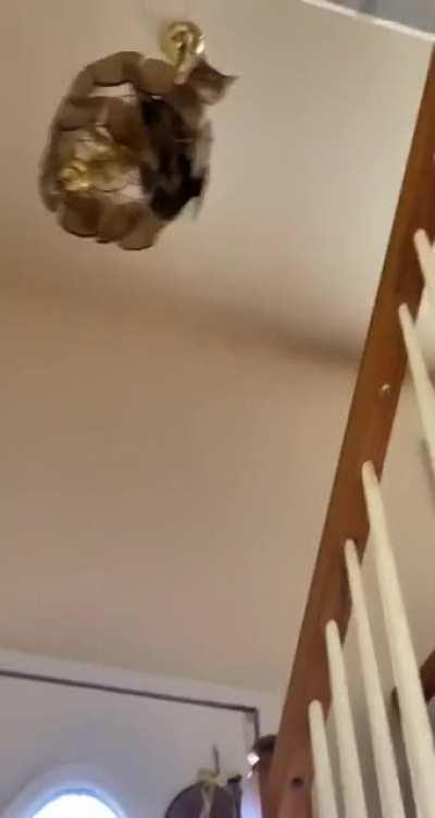 mistakes were made...