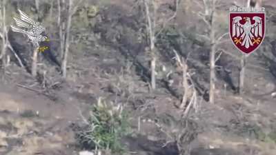 UA 82nd Air Assault Brigade's 