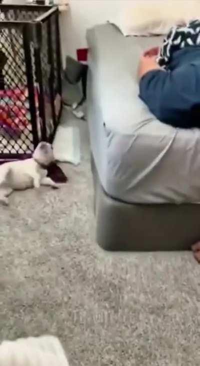 Without the video recording, the truth would not have been known)