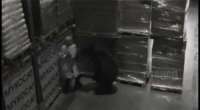 - Hello, my name is Mikhail, I'm from the audit department. Let's check the invoices