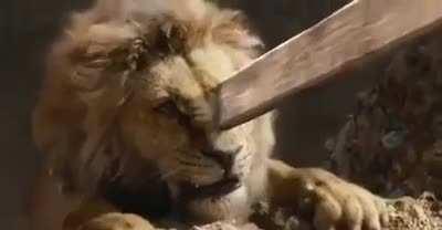 Its always sunny in Pride Rock.