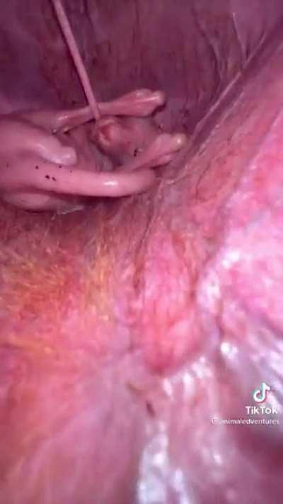 It was the first time I saw it