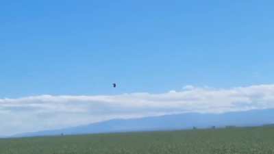 u/Green-Swan2020 UFO. Central Valley, CA. May 2024. (Original version/slowedx2 stabilized)