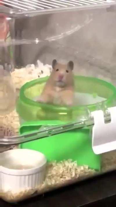 What am I doing with my life