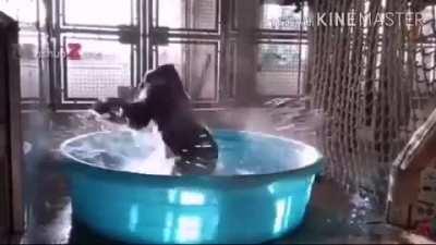 Yo solo queria hacerte reir😔