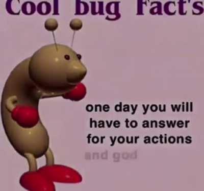 cool bug fax