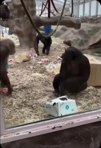 They would have lost their minds if he had taken it off