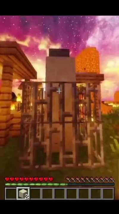 If ClumsyKitty's dog is killed by a villager...