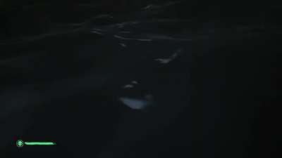 I feel like I’ve been lied to...