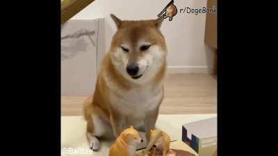 No horny, boi! $DogeBonk