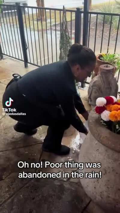 Oh Look This Poor Thing Was Abandoned In The Rain!!!