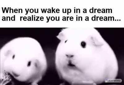 Confused Unga-bunga...