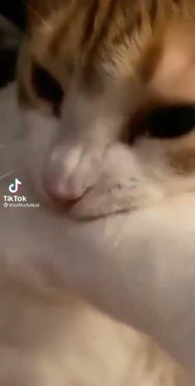 El Steven queriendo transformarse en Titan cada que sky lo patea