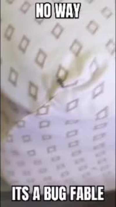 MFW I see any insect after playing Bug Fables: