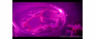 Happy Birthday Saiman.