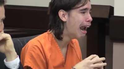 Helluva boss fans when no wolf lady or bird man