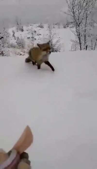 &Eacute; Muita inveja