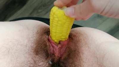 squeaky dog toys get my pussy wet and messy