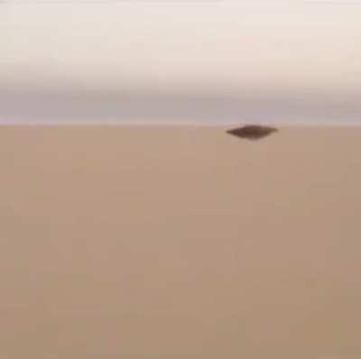 B I R D I E has been captured.