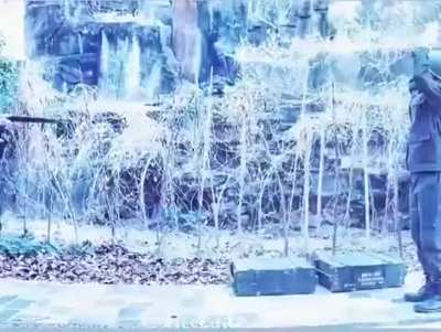 Don't shoot strats is OP.