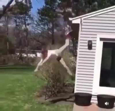 WCGR if my foot stays stuck ?