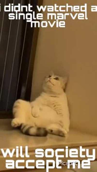 Mein 13 saal ka hoon pehle mein sochta tha ki merko free fire pasand nahi will society accept me fir r/saimansays ne hamka accept kara atleast i watch anime though not in anyone's pressure