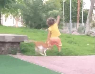 Don't be mean to animals!